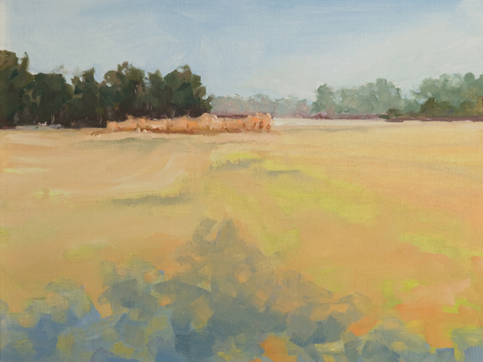 Hayfield | Oil on Canvas | 12" x 9" | Karyn Dingledine