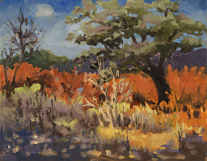 San Miguel Field | Oil on Canvas | 10" x 8" | Karyn Dingledine